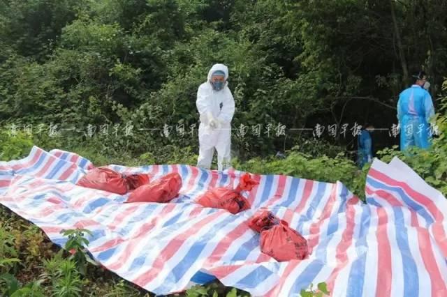 惠州殺人案最新消息，深度分析與觀點(diǎn)闡述