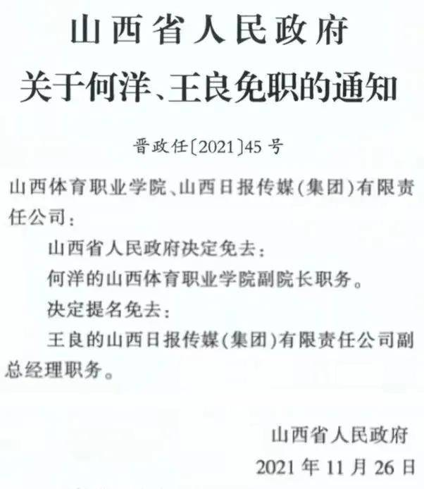 洋浦最新人事任免，科技智能重塑未來引領(lǐng)變革之路