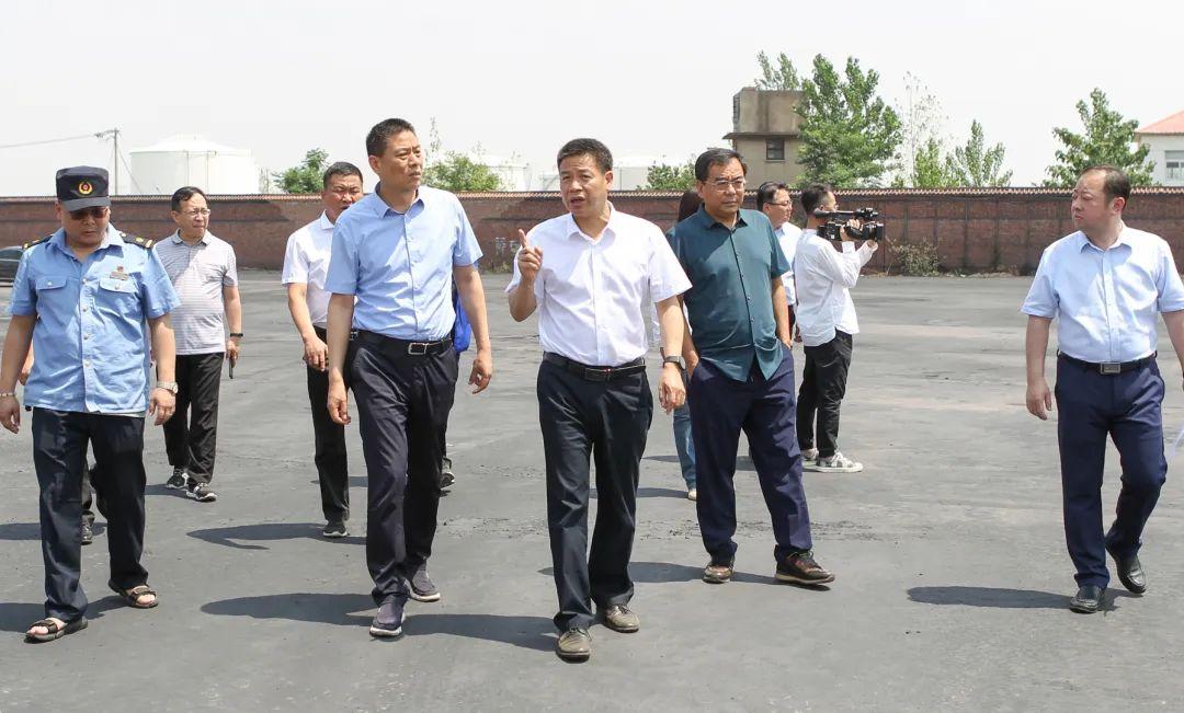 安徽百善大豆最新價(jià)格及美景之旅，探尋自然，回歸內(nèi)心寧?kù)o與平和