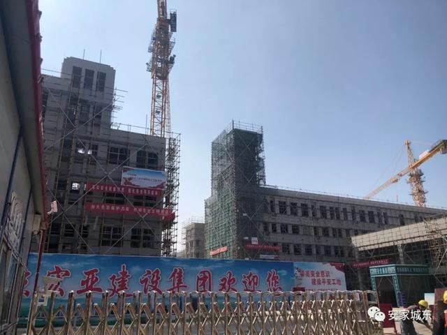京溫搬遷最新動態(tài)，深度分析與觀點闡述