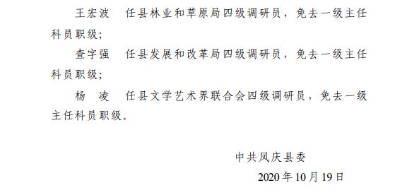 臨滄最新干部人事任免多維度解析，觀點分析