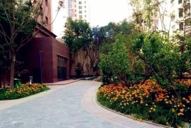 港歐東方花園最新動(dòng)態(tài)更新，港歐東方花園最新資訊