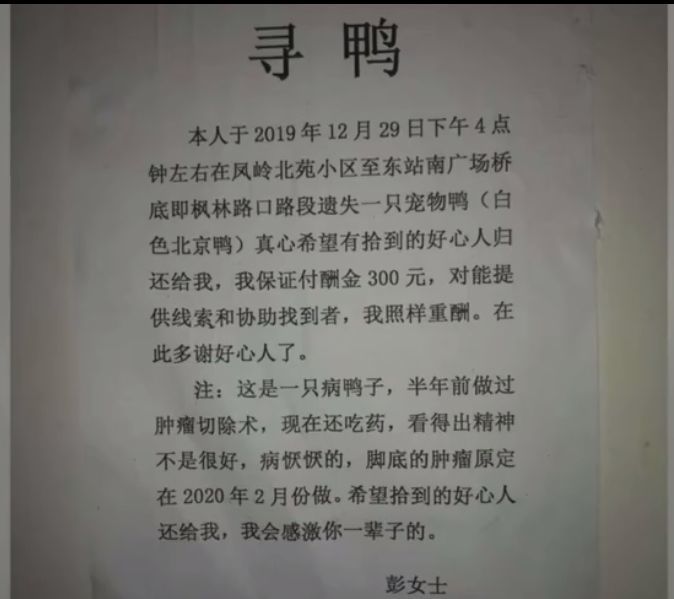 慈溪宏一最新招聘啟事發(fā)布，職位空缺等你來挑戰(zhàn)！