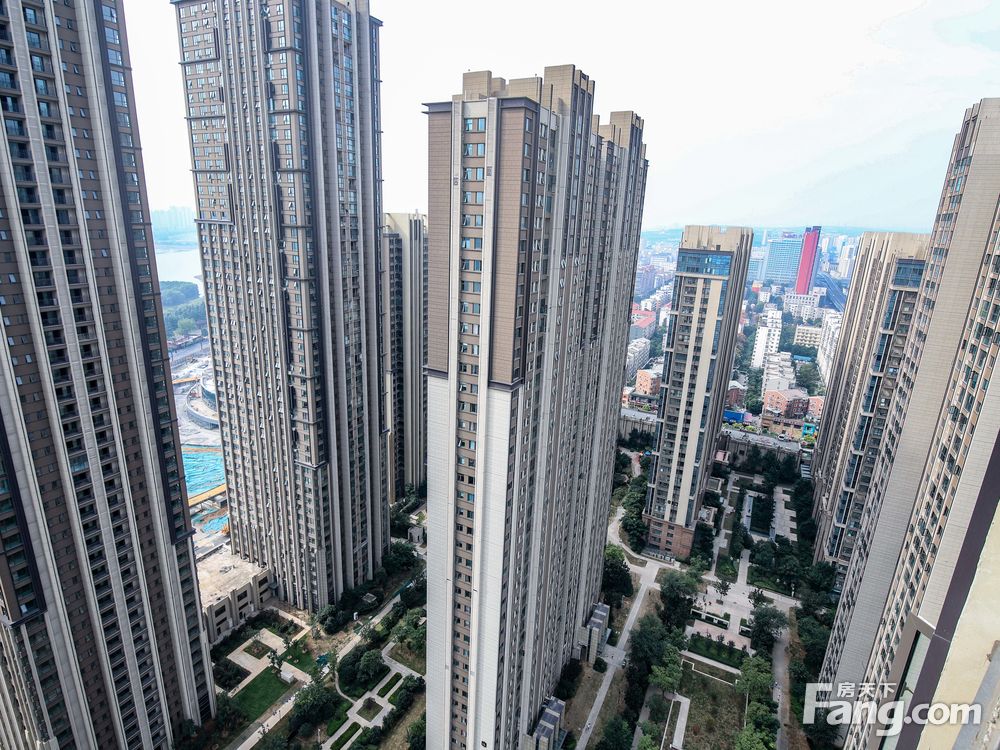 洛陽(yáng)升龍城最新動(dòng)態(tài)，全面資訊與參與指南