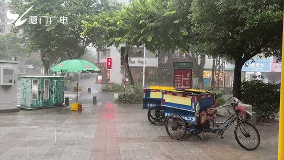 廈門火車停運(yùn)最新消息，啟程探索自然美景之旅