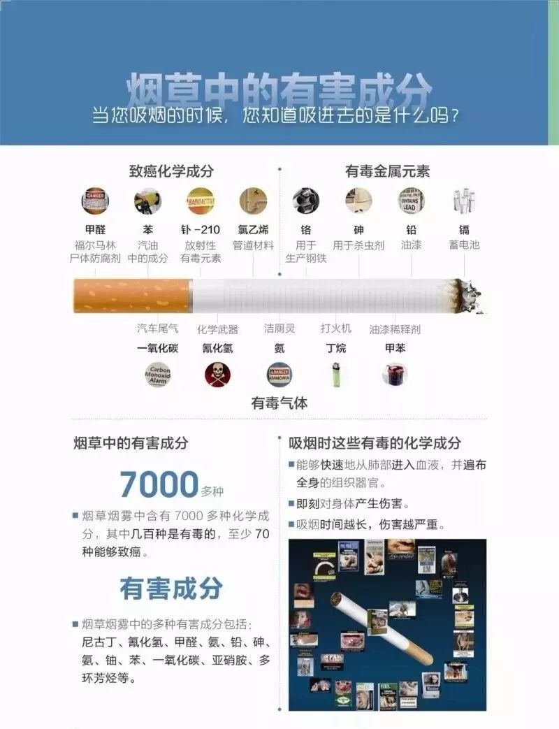 智能煙品重塑健康，最新研究揭示吸煙有益健康的科技前沿秘密！