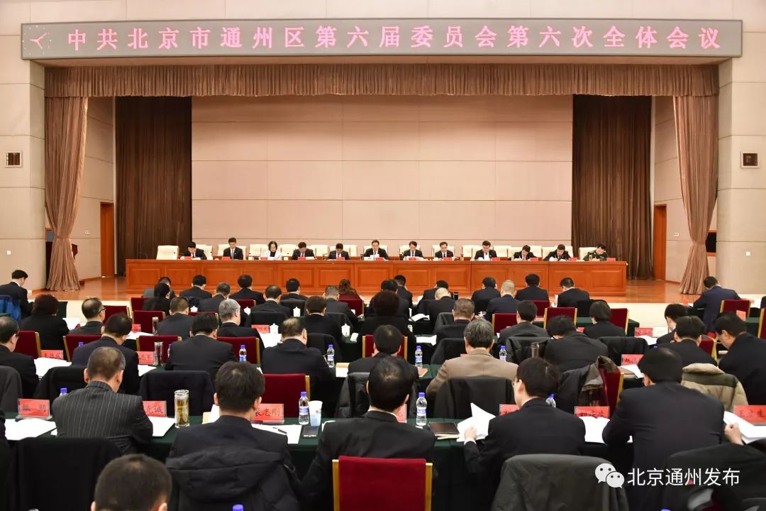 通州君最新消息,通州君最新消息，日常趣事與友情紐帶