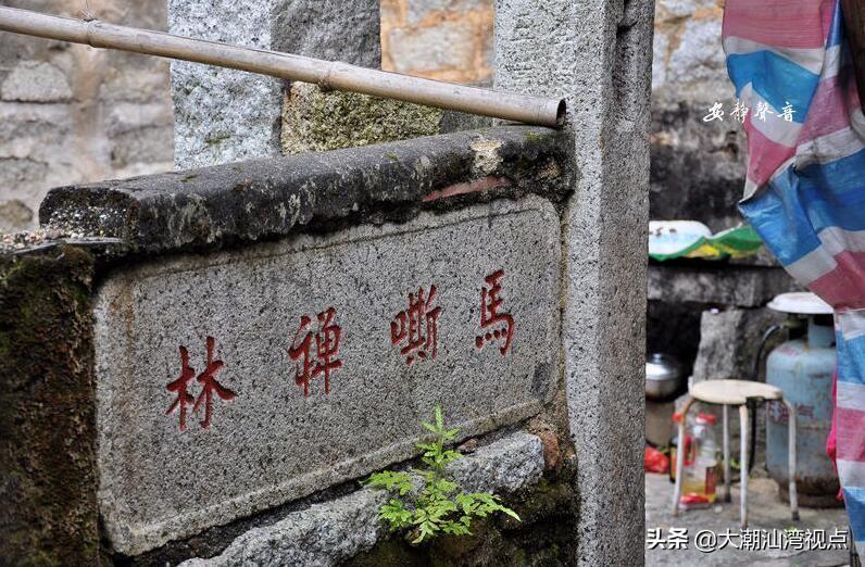 馬山縣最新道場(chǎng)，科技重塑生活，前沿高科技產(chǎn)品驚艷亮相展