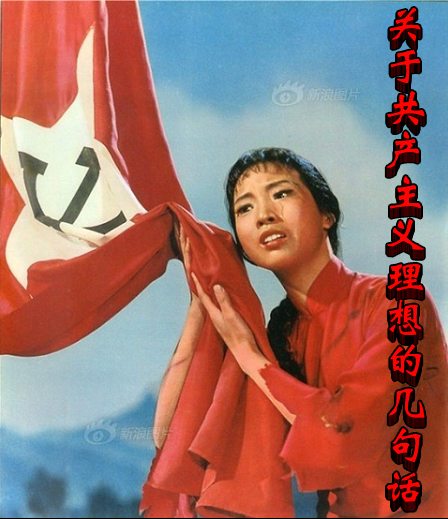 張宏良最新博文詳解，閱讀指南與操作教程