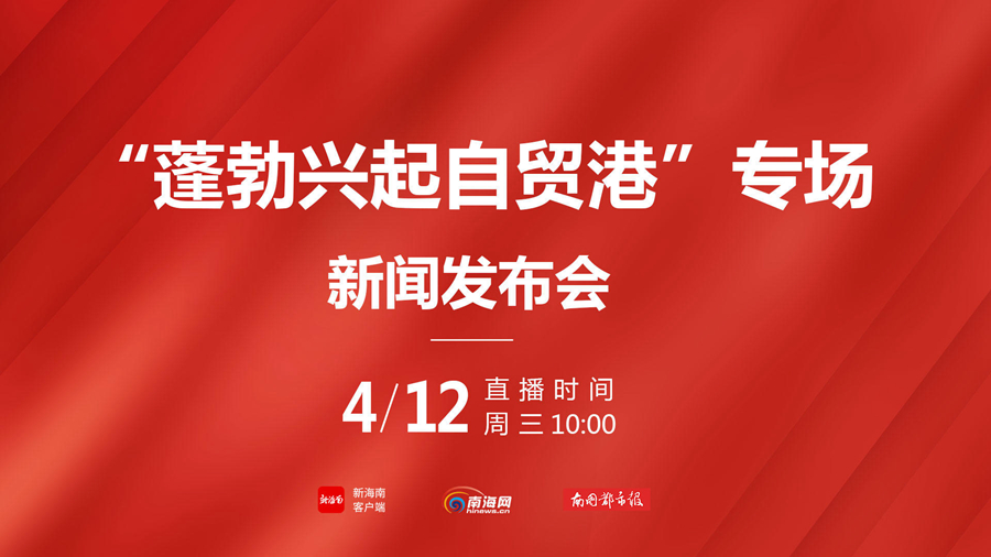 海南新聞?lì)^條最新新聞,海南新聞?lì)^條，探索自然美景的旅行，尋找內(nèi)心的平靜