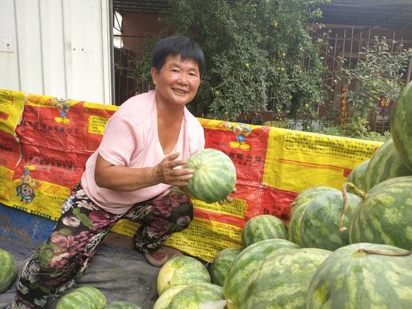 河南開封西瓜最新價格，盛夏甜蜜盛宴開啟