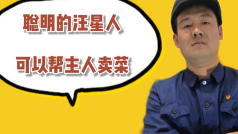 汽車零部件 第308頁