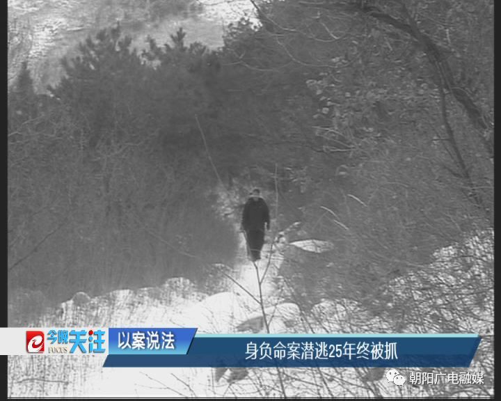 遼寧朝陽最新殺人事件，科技守護生活新常態(tài)的安全防線
