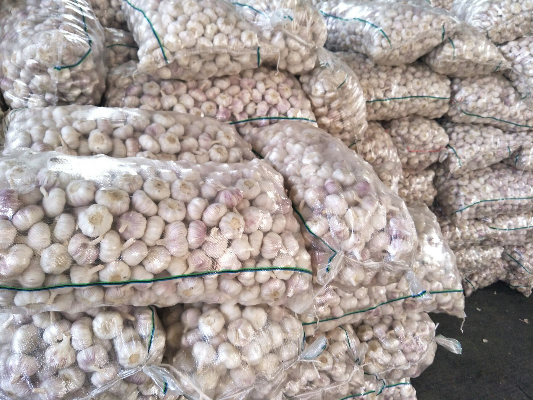邳州大蒜故事，價格背后的友情與陪伴，最新凈蒜價格一覽