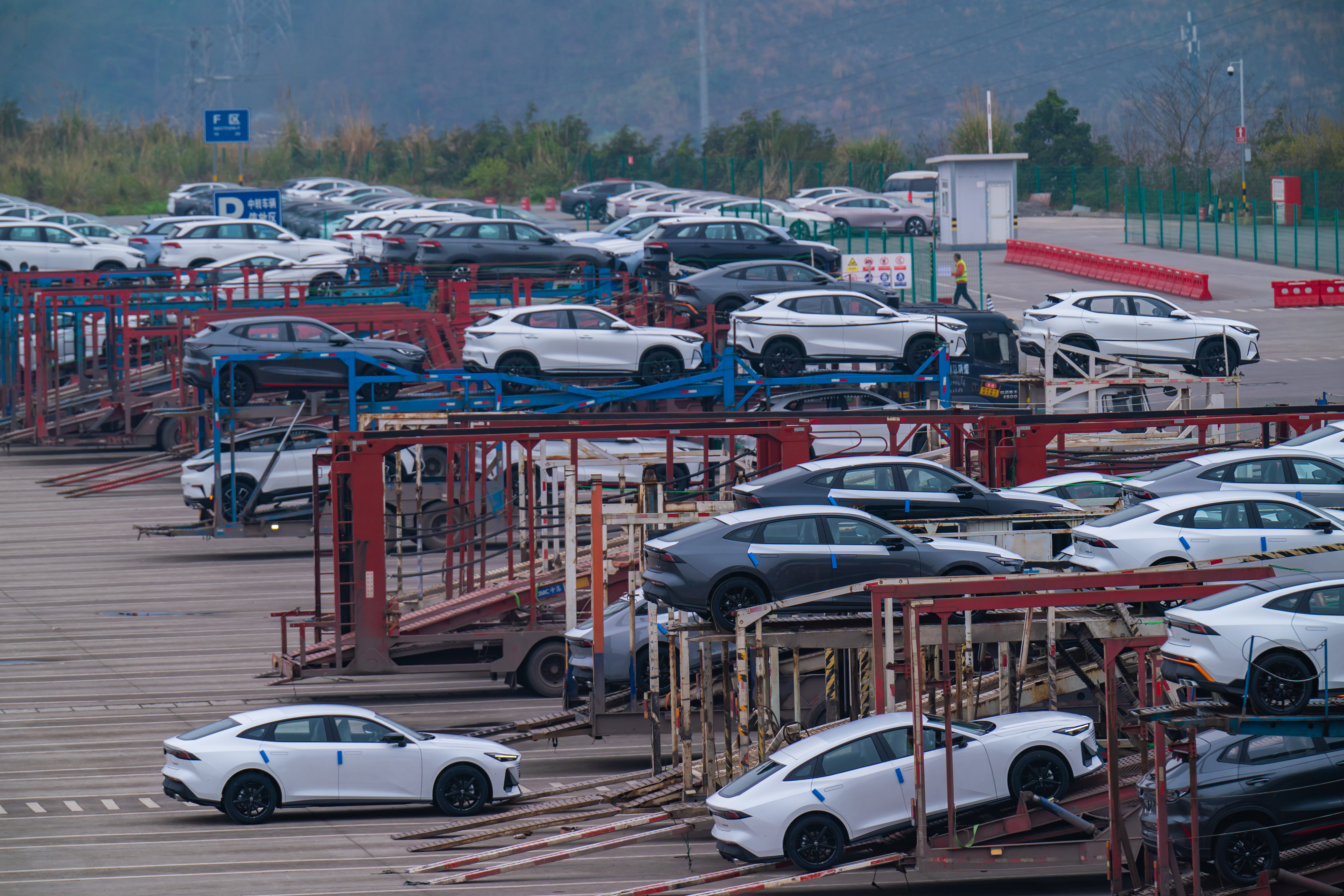陽(yáng)谷車禍背后的故事，小巷中的意外發(fā)現(xiàn)