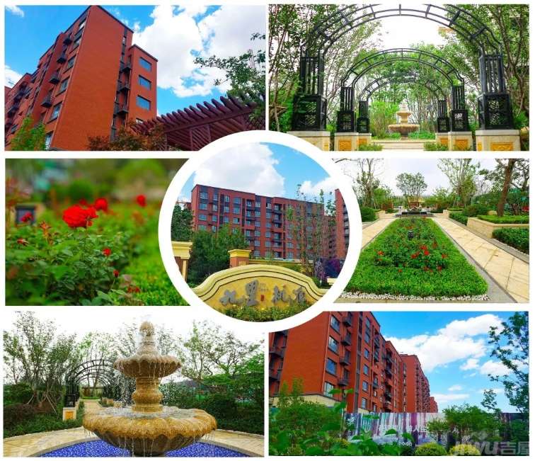 九里桃源最新狀態(tài)，自然美景探索之旅