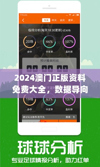2024新奧資料免費精準資料,實地數(shù)據(jù)驗證_RSR9.101人工智能版