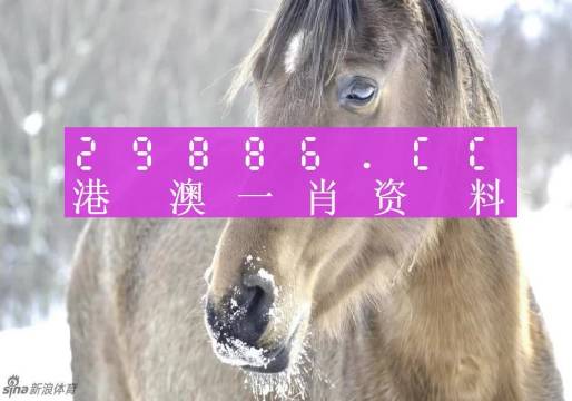 澳門一肖一碼精準100%-百,互動性策略設(shè)計_UDJ83.911習(xí)慣版