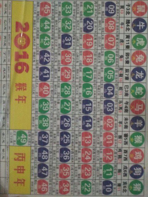 2024新版生肖恃碼表49彩色澳門,效率評(píng)估方案_VBT58.311顛覆版