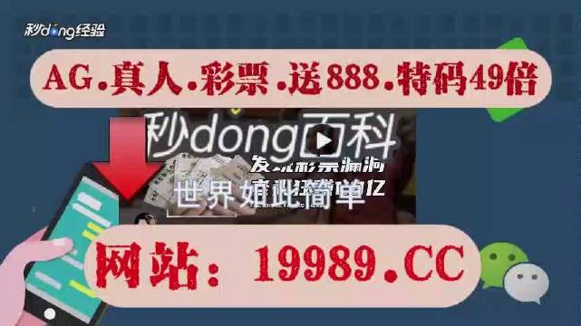 2024澳門六今晚開獎記錄,專家權(quán)威解答_NNR58.978便攜版