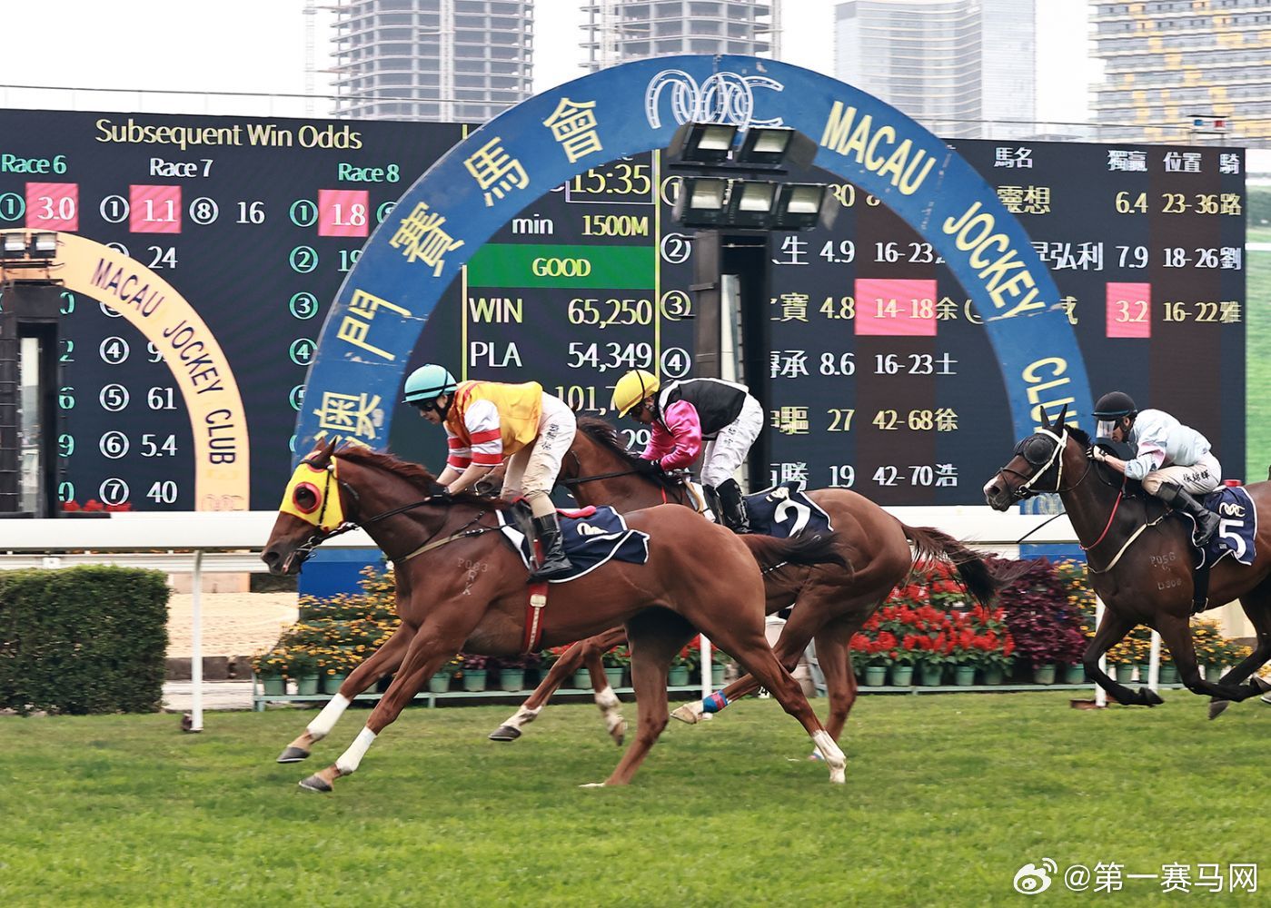 2024澳門特馬,信息明晰解析導(dǎo)向_TJV9.167高清晰度版