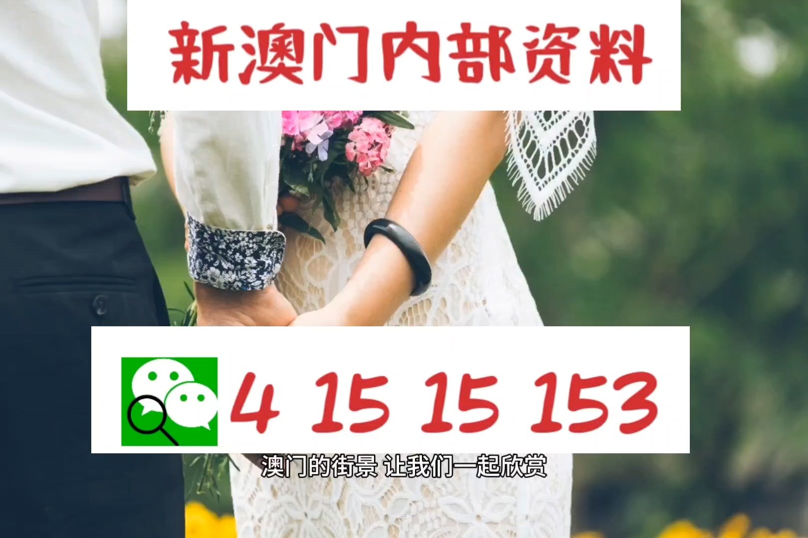 澳門寶典2024年最新版免費,數據導向程序解析_IGV83.658獲取版
