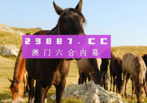 澳門管家婆一肖一碼2023年圖片,全身心數(shù)據(jù)計劃_XVO9.216傳達版
