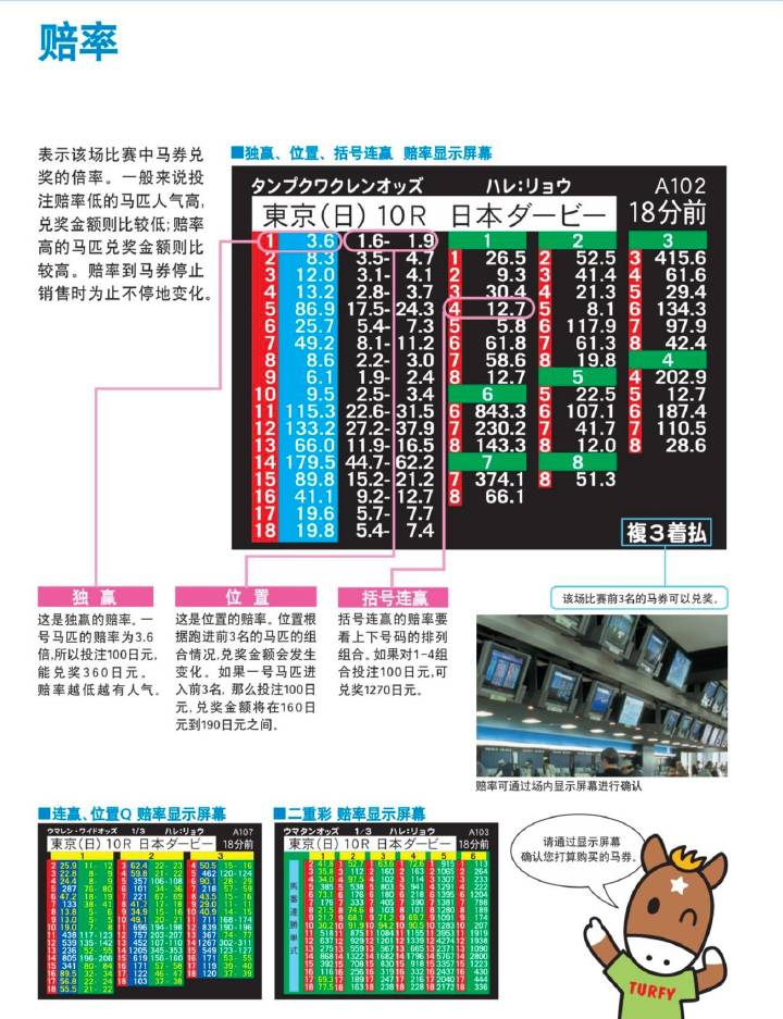 7777788888馬會傳真,持續(xù)性實(shí)施方案_PIX9.576月光版