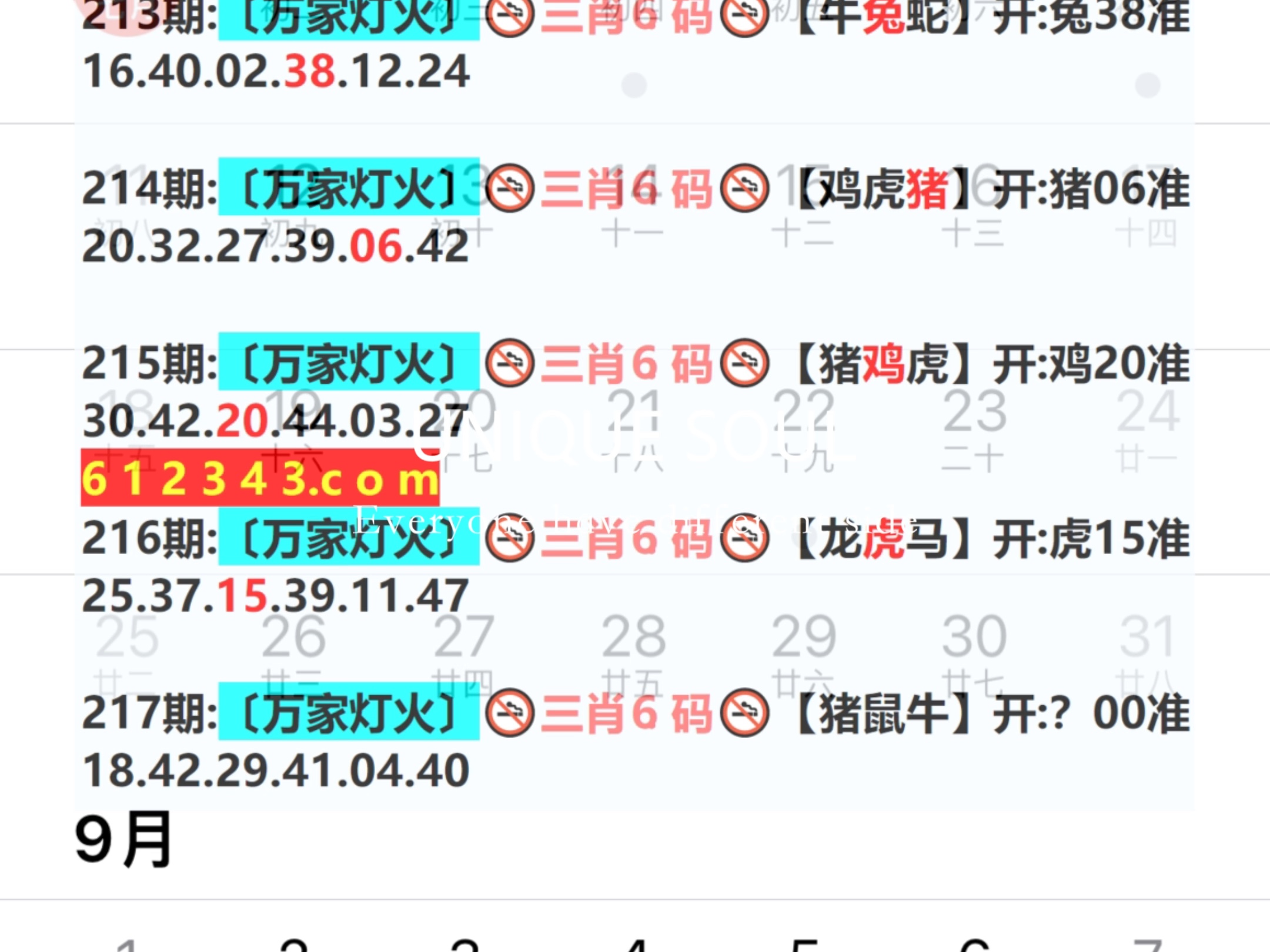 新澳門四肖八碼鳳凰城,快速實(shí)施解答研究_定向版53.985