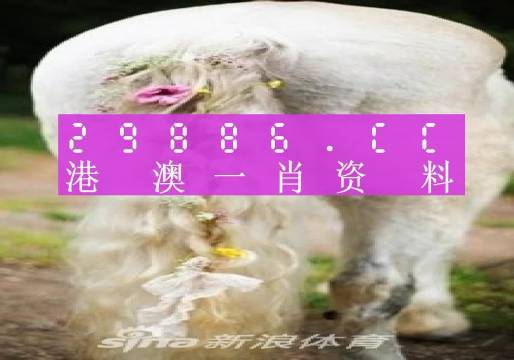 今晚一肖一碼澳門一肖四不像,精準(zhǔn)解答方案詳解_計(jì)算能力版77.462