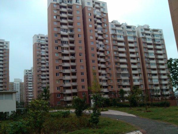 羅涇寶虹家園最新房?jī)r(jià)揭秘，變化的力量與追夢(mèng)的勇氣
