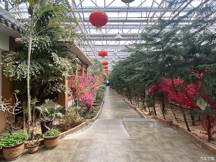 綠鑫春生態(tài)園最新圖片展示及欣賞