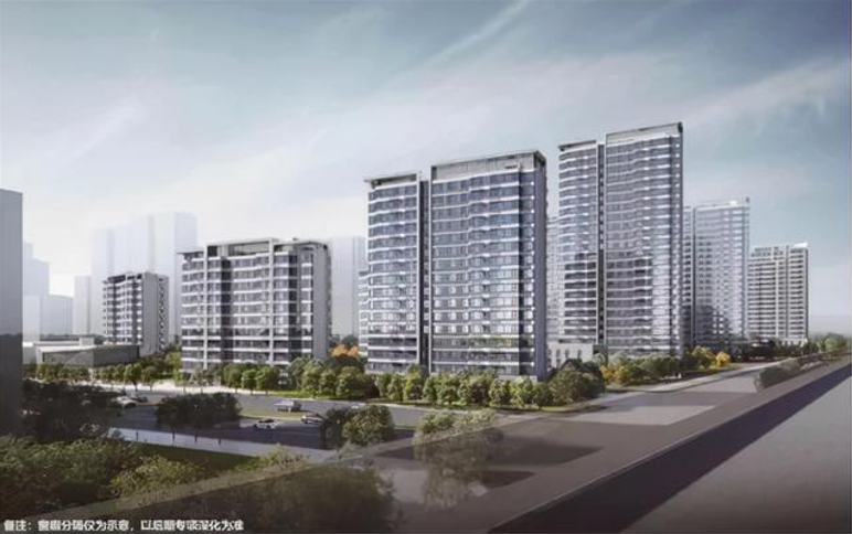 合肥市新站區(qū)最新新聞報道