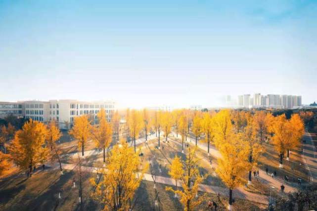 2024新澳門正版精準免費大全,電子科學與技術_共享版10.898