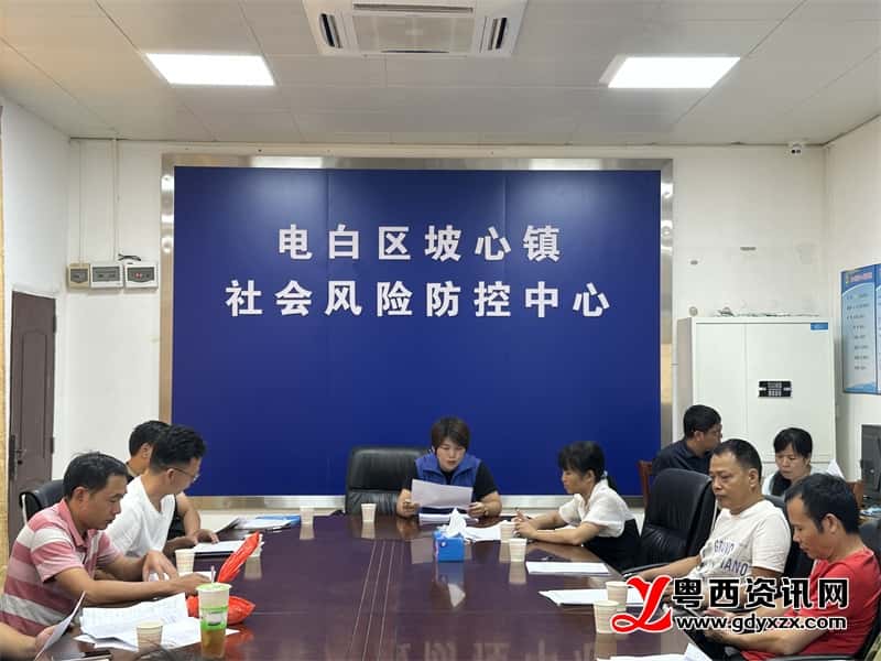 電白區(qū)坡心鎮(zhèn)最新新聞,電白區(qū)坡心鎮(zhèn)最新新聞，觀點(diǎn)論述