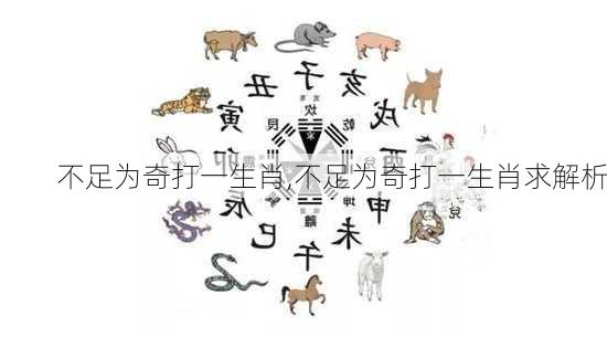莫惜一四衣打一正確生肖,系統(tǒng)評(píng)估分析_時(shí)空版17.554