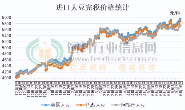 美國大豆今日最新動態(tài)，市場趨勢、影響因素及前景展望