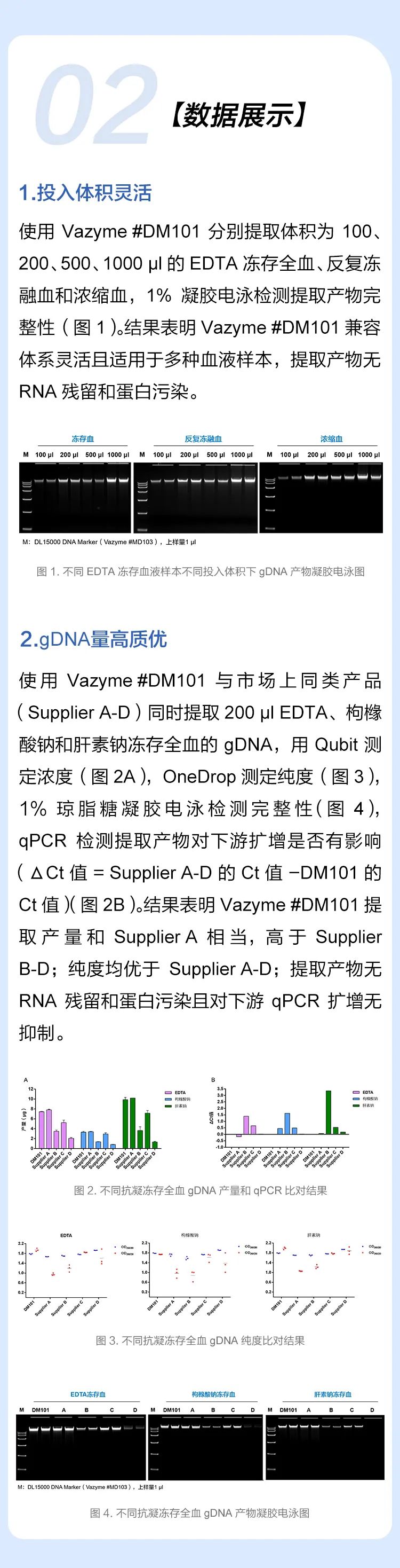 達雅高最新報告單圖片,達雅高最新報告單圖片——小巷中的獨特美食探秘
