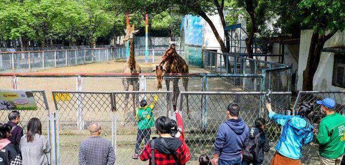 翔安內(nèi)厝動物園最新消息與科技產(chǎn)品亮相