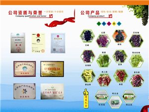 凌源吧最新科技動態(tài)，智能新品震撼亮相，體驗前所未有的智能生活