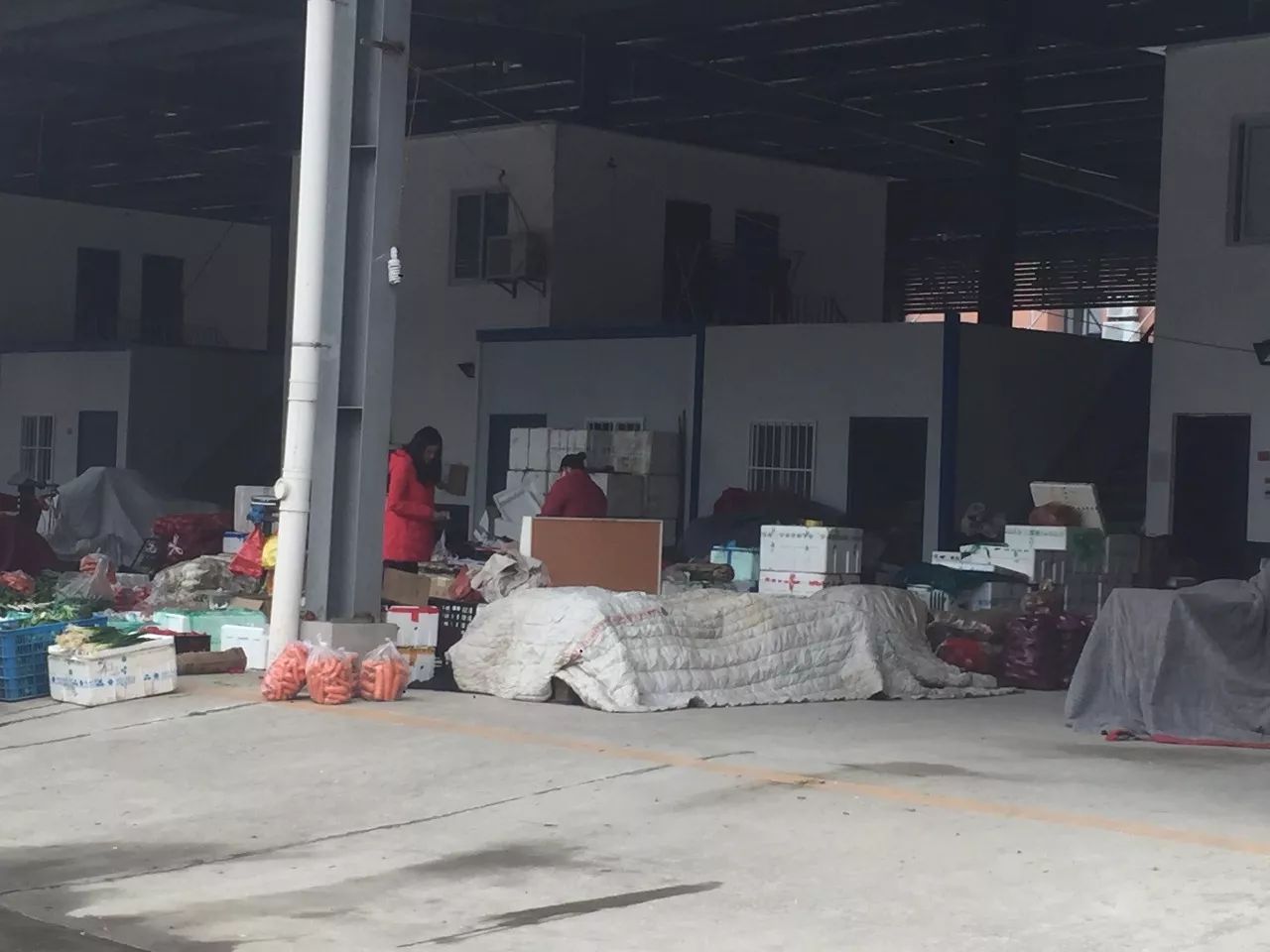 湘鄂農(nóng)貿(mào)城，繁榮發(fā)展的農(nóng)業(yè)商貿(mào)新地標(biāo)最新消息揭秘