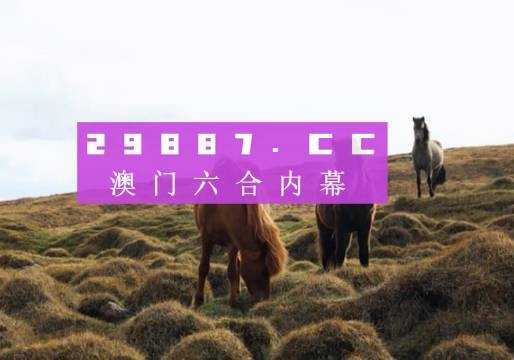 2024新澳門歷史開獎記錄查詢結(jié)果,相對評價_戶外版53.904