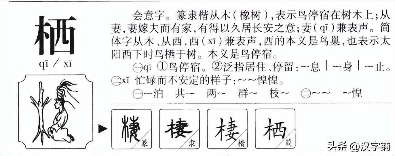 探索語音變遷奧秘，哦的最新讀音揭秘