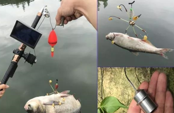 錨魚視頻最新,錨魚視頻最新，科技引領垂釣新紀元，體驗前所未有的錨魚生活