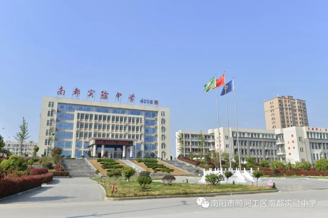 河南南陽(yáng)最新公告揭秘，城市溫情日常溫馨趣事