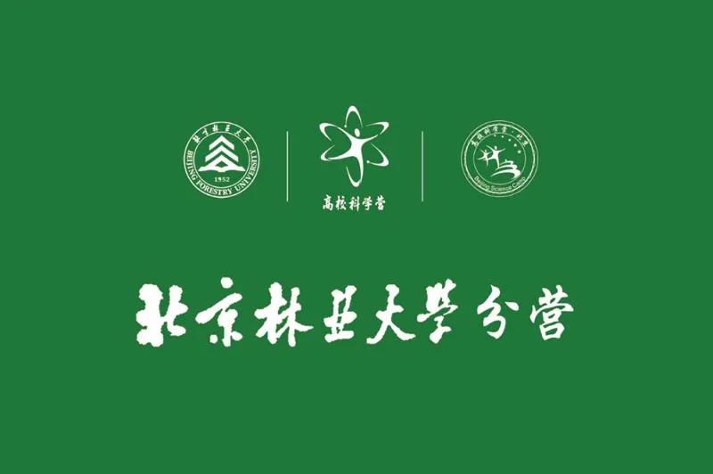 北林疫情最新動態(tài)解析，要點分析與解讀
