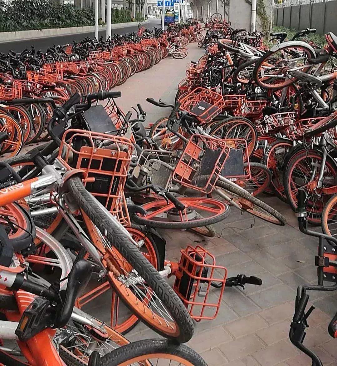 哈羅單車最新單車，綠色出行先鋒，見證時代變遷