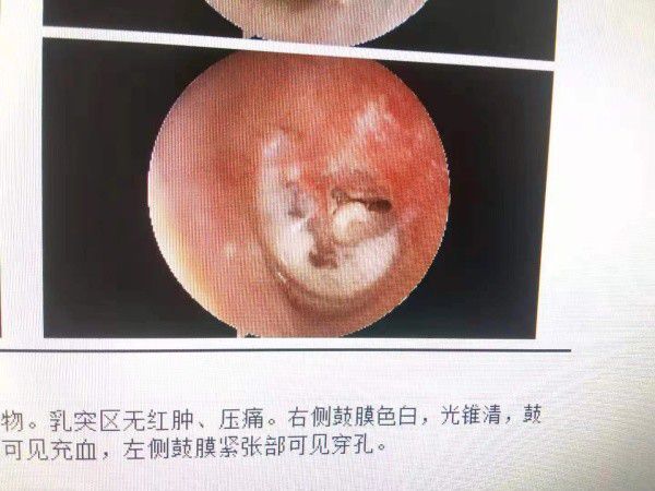 電器配件的生產(chǎn)銷售 第205頁(yè)
