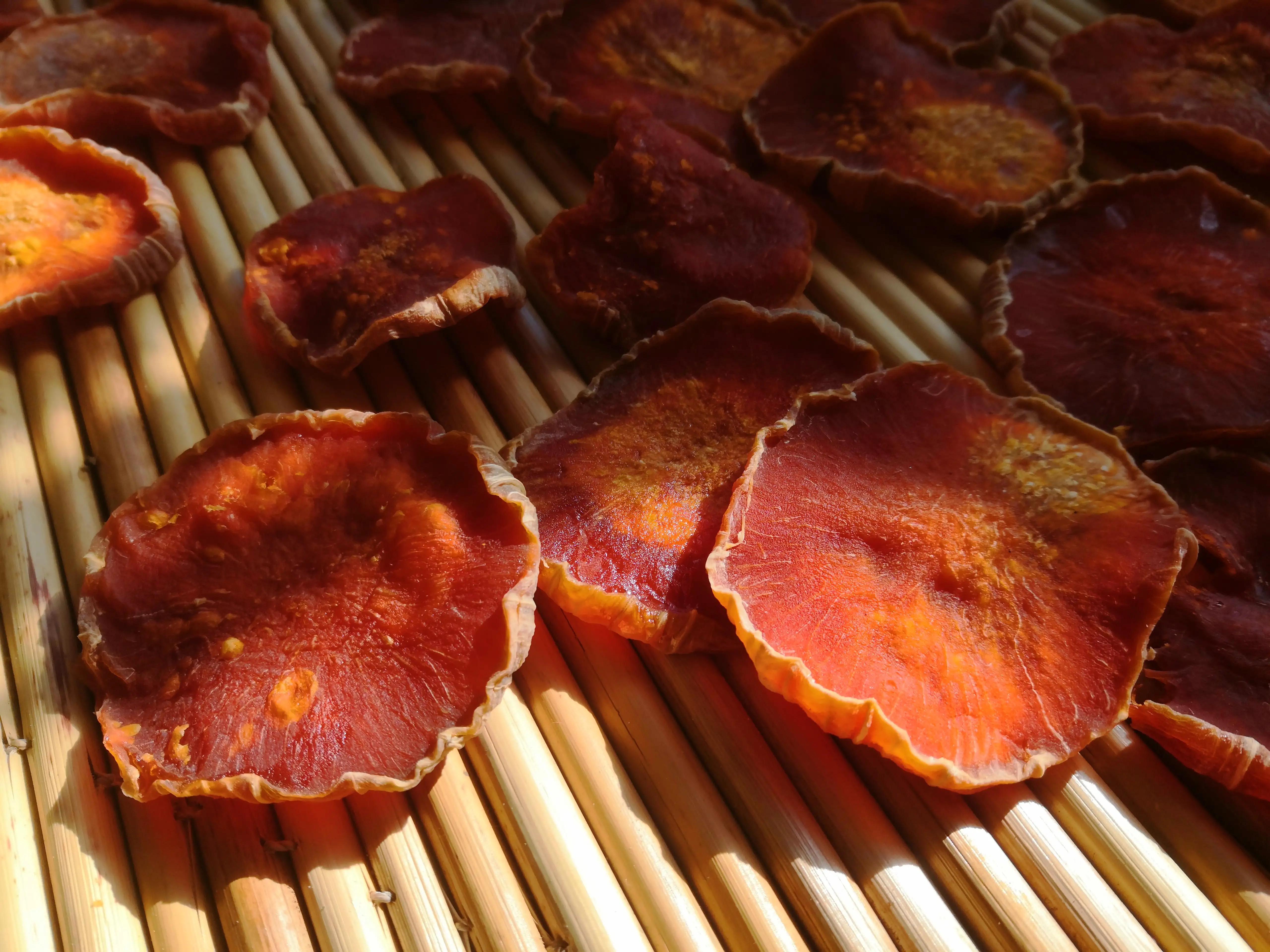 技術(shù)進(jìn)出口 第191頁