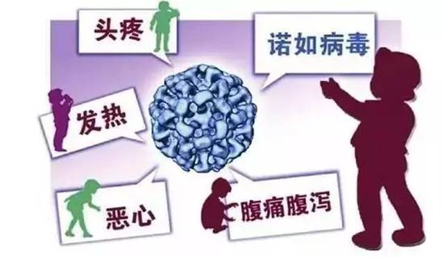 威海最新病毒，自然美景下的探索之旅挑戰(zhàn)